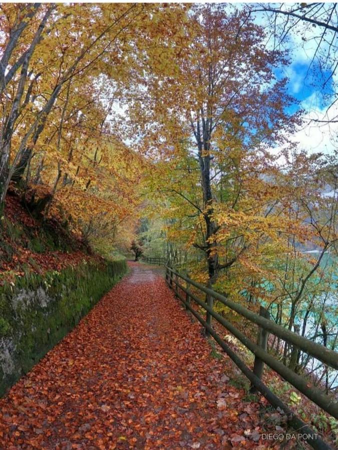 شقة Colori Nel Parco Cesiomaggiore المظهر الخارجي الصورة