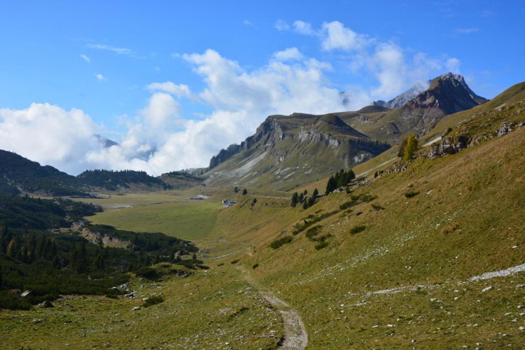 شقة Colori Nel Parco Cesiomaggiore المظهر الخارجي الصورة